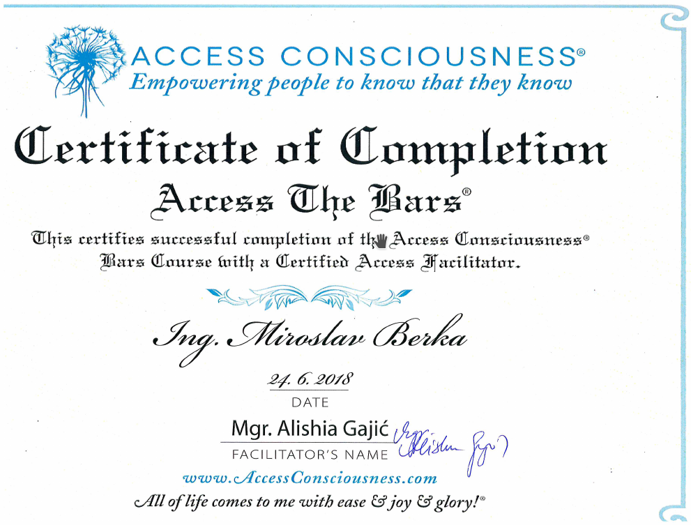 Access Bars 1 Access Bars 1
